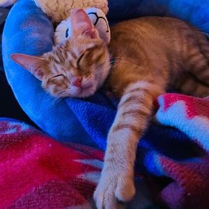 Meet your Posher, Travis